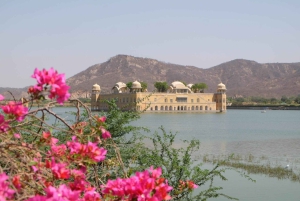 Ab Delhi: 6-tägige Tour zum Goldenen Dreieck mit Ranthambore