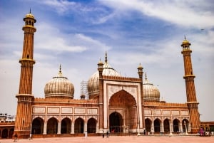 Fra Delhi: 7-dages tur i Den Gyldne Trekant, Jodhpur og Udaipur