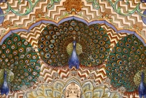 Z Delhi: 8-dniowa wycieczka po Złotym Trójkącie z 5-gwiazdkowymi hotelami