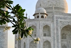 Z Delhi: 8-dniowa wycieczka po Złotym Trójkącie z 5-gwiazdkowymi hotelami