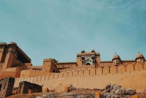 Z Agra: Tadż Mahal bez kolejki z biletem i przewodnikiem