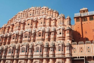 Från Delhi/Agra/Jaipur: Jaipur-dagstur med transfer