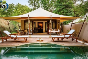 Von Delhi: Delhi Ranthambore 3 Tage Tour