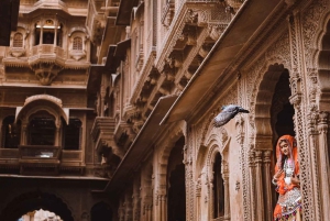 Von Delhi: Ganztagestour nach Jaipur mit Auto, Guide und Mittagessen