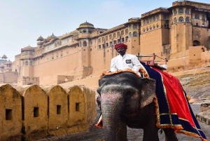 From Delhi: Golden Triangle Multi-Day Guided Private Tour