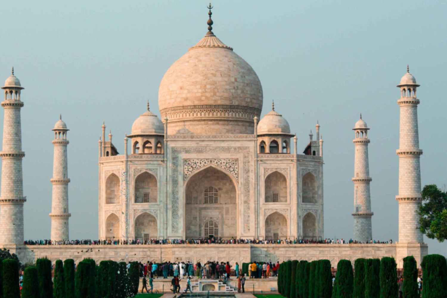 Z Delhi: kilkudniowa wycieczka po Złotym Trójkącie z safari na tygrysy