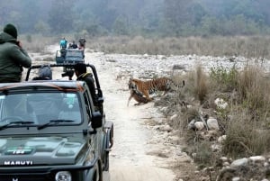 De Deli: Viagem de vários dias pelo Triângulo Dourado com safári de tigres