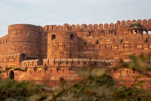 Z Delhi: kilkudniowa wycieczka po Złotym Trójkącie z safari na tygrysy