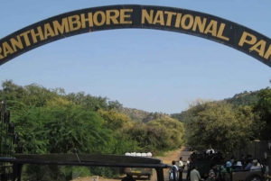 Z Delhi: kilkudniowa wycieczka po Złotym Trójkącie z safari na tygrysy