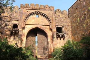 Z Delhi: kilkudniowa wycieczka po Złotym Trójkącie z safari na tygrysy