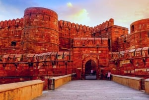 Vanuit Delhi: Gouden Driehoek & Ranthambhore