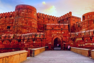 Desde Delhi: Triángulo Dorado y Ranthambhore