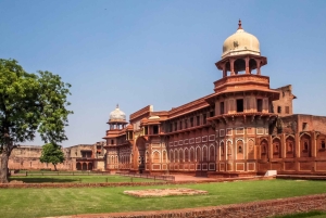 Från Delhi: Gyllene triangeln med Ranthambore 5-dagars rundtur