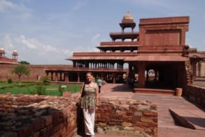 Fra Delhi: Indias mest berømte gyldne triangel-tur