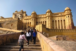 From Delhi: 2-Day Jaipur Tour with Palaces, Forts & Culture