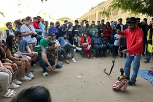 Jaipur Private City Tour with Hotel Pick-Up & Drop 4 - 8 Hrs