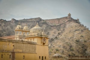 Desde Delhi: Visita cultural e histórica privada de la ciudad de Jaipur