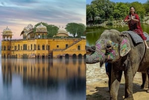 Desde Delhi: Visita cultural e histórica privada de la ciudad de Jaipur