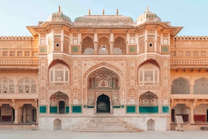 Fra Delhi: Dagstur til Jaipur med hurtigtog eller privatbil