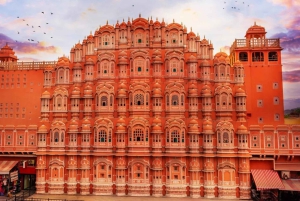 Fra Delhi: Dagsudflugt til Jaipur med guide