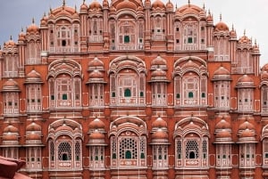 Au départ de Delhi : excursion privée d'une journée à Jaipur avec transfert