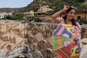 Au départ de Delhi : excursion privée d'une journée à Jaipur avec transfert