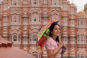 Au départ de Delhi : excursion privée d'une journée à Jaipur avec transfert