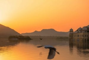 Au départ de Delhi : excursion privée d'une journée à Jaipur avec transfert