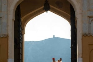 Au départ de Delhi : excursion privée d'une journée à Jaipur avec transfert