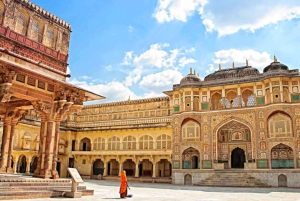 Jaipur: tour privado de medio día o de 1 día en coche con guía