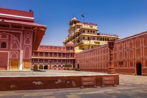 Da Delhi: tour privato di un giorno alle attrazioni principali di Jaipur