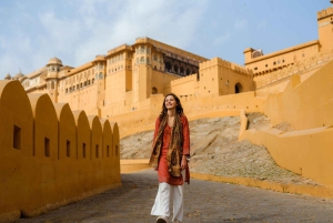 Da Delhi: tour privato di un giorno alle attrazioni principali di Jaipur