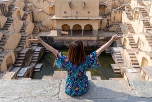 Da Delhi: tour privato di un giorno alle attrazioni principali di Jaipur