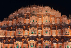 Fra Delhi: Privat dagstur til Jaipur med guide
