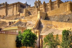 Van Delhi: Jaipur privérondleiding van een hele dag