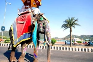 Van Delhi: Jaipur privérondleiding van een hele dag