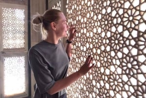 Da Delhi: tour privato guidato di un giorno a Jaipur