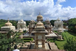 Da Delhi: tour privato guidato di un giorno a Jaipur