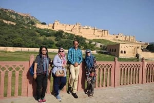 Z Delhi: prywatna wycieczka z przewodnikiem do Jaipur