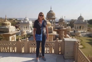 Fra Delhi til Jaipur: Privat dagsudflugt i bil