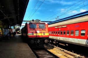 Vanuit Delhi: Jaipur privéreis op dezelfde dag met de auto of trein