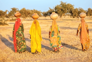 Desde Delhi: tour privado a Jaipur con guía y servicio de recogida del hotel.