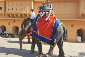 Från Delhi: Jaipur Privat resa med bil