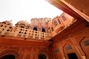 Desde Delhi: Viaje de ida y vuelta a Jaipur en coche o tren superrápido.
