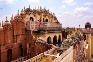 Desde Delhi: Viaje de ida y vuelta a Jaipur en coche o tren superrápido.