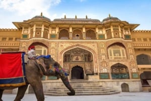 Fra Delhi: Jaipur-dagstur