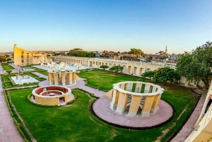 Fra Delhi: Jaipur-dagstur