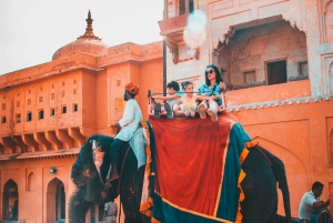 Desde Delhi: Jaipur La Ciudad Rosa Excursión privada de un día en coche.