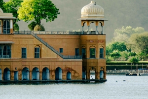Desde Delhi: Jaipur La Ciudad Rosa Excursión privada de un día en coche.