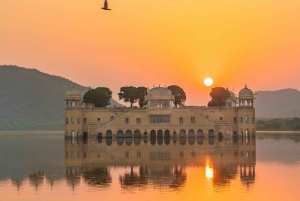 Desde Delhi: Jaipur La Ciudad Rosa Excursión privada de un día en coche.